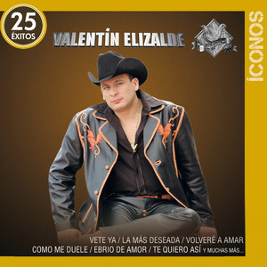 Íconos 25 Éxitos album