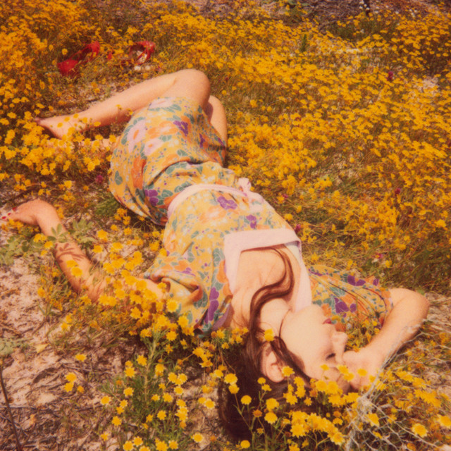 The Green Fields Photo
