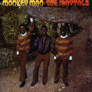 Monkey Man album