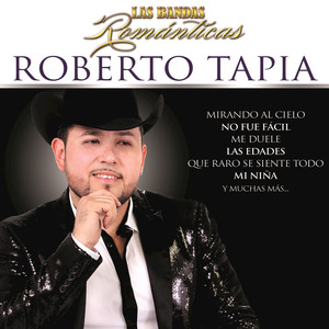 Las Bandas Románticas cover