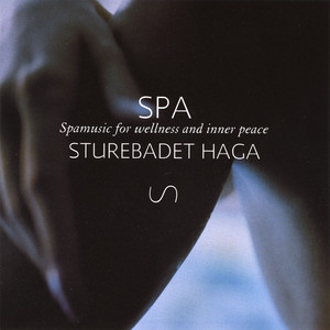 Sturebadet Haga