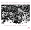 Roland Dahinden: Flying White Albumcover