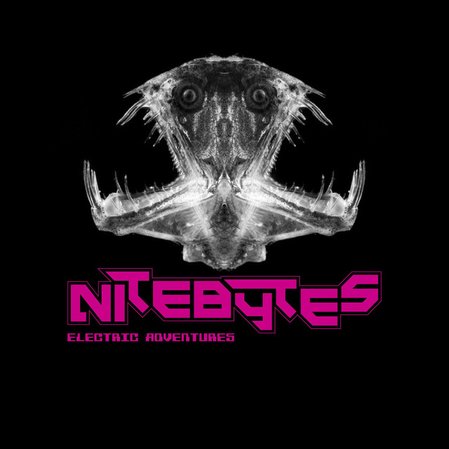 Nitebytes Photo