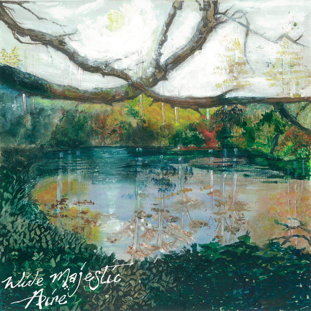 Wide Majestic Aire cover