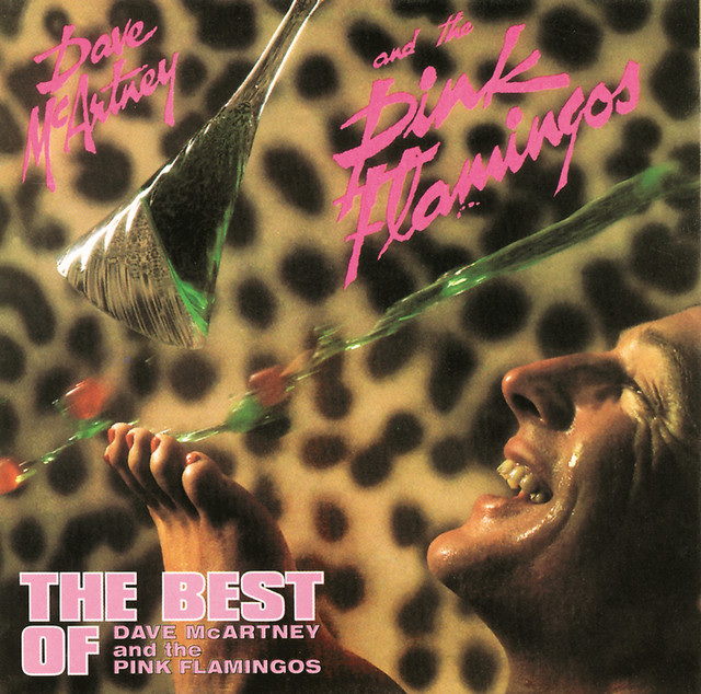 Dave McArtney & The Pink Flamingos Photo