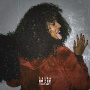 Flight of the Wig cover