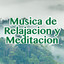 Musica de Relajacion y Meditacion cover