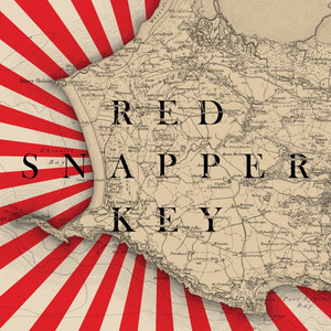 Key cover