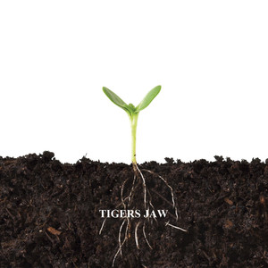Tigers Jaw album