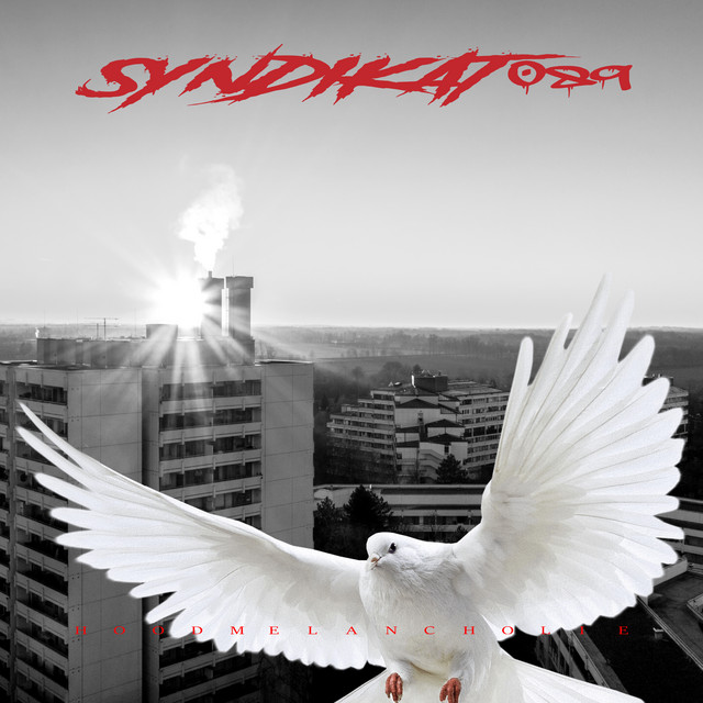 [Syndika:Zero] Photo