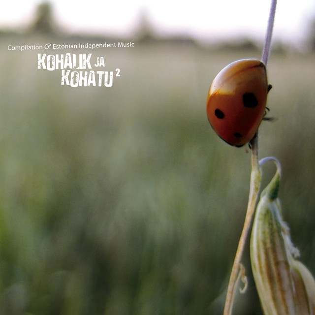 Kohalik Ja Kohatu 2 (compilation Of Estonian Independent Music) cover