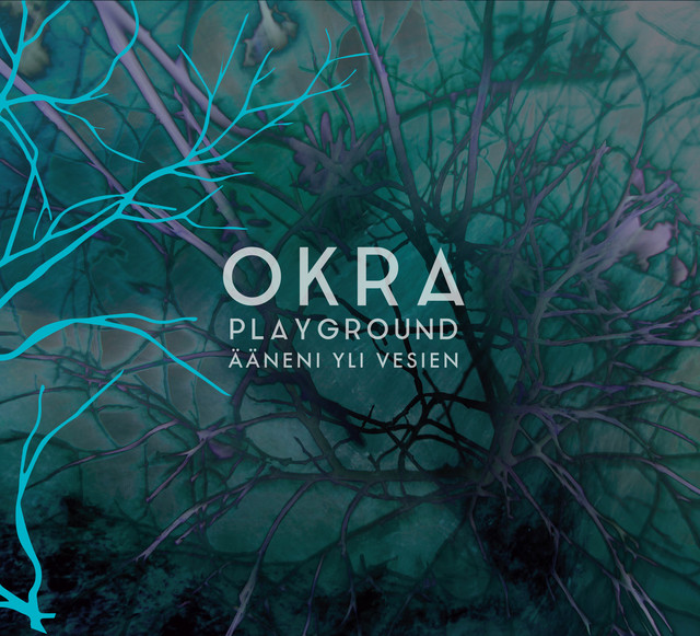 Okra Playground Photo