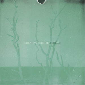 A Forest cover