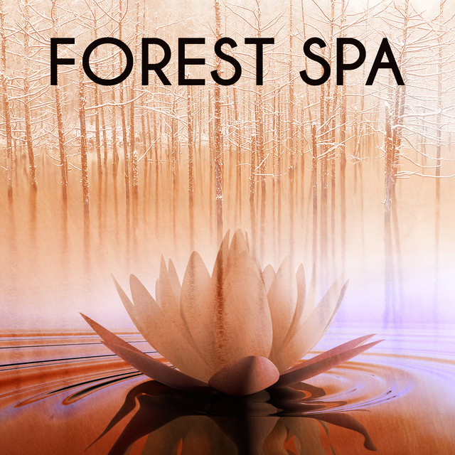 Forest Spa Albumcover