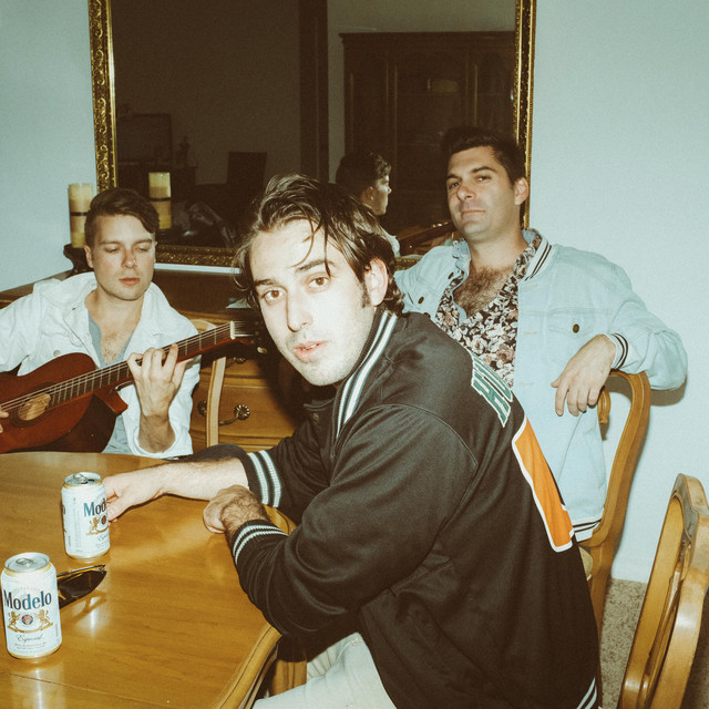 Musik Artist Magic City Hippies