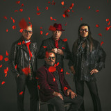 The Mavericks Photo
