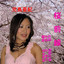 Sakura Japan Albumcover