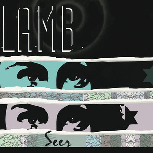 Seer album