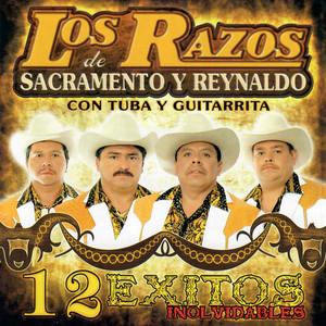 12 Exitos Inolvidables Con Tuba y Guitarra album