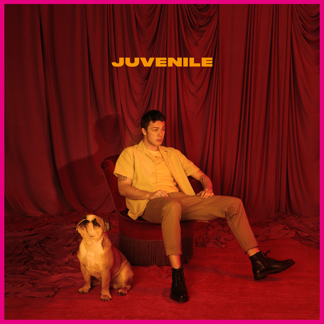 Musik Album 'Juvenile'