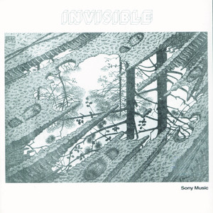 Invisible cover