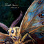 What We Do Albumcover