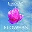 Flowers (Relaxing Music) Albumcover