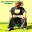 Tropikal Flow Albumcover