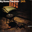 Jail cover