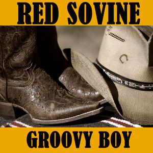 Groovy Boy album