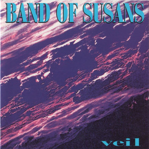 Veil cover