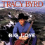 Big Love cover