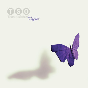 Origami cover