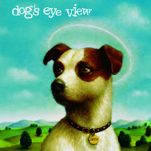 Daisy cover
