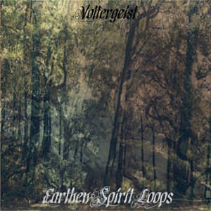 Voltergeist