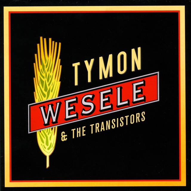 Tymon & the Transistors Photo