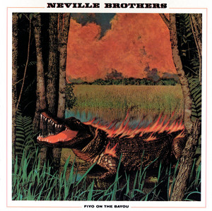 Fiyo on the Bayou cover