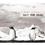 Two for Duke cover