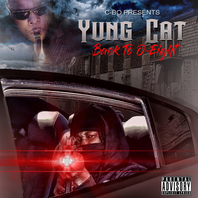Yung Cat Photo