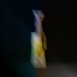 Living Fields album