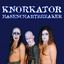 Hasenchartbreaker cover
