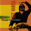 Voyage To Paradise Albumcover