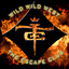 Wild Wild West cover