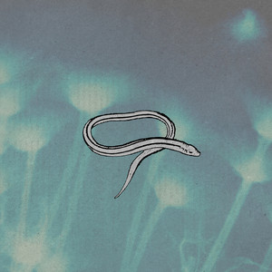 The Rotting Strip cover