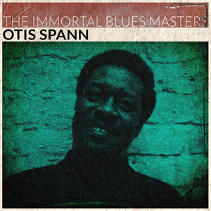 The Immortal Blues Masters album