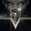Vanquish cover