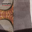 Am Universum cover