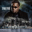 The Landlord cover