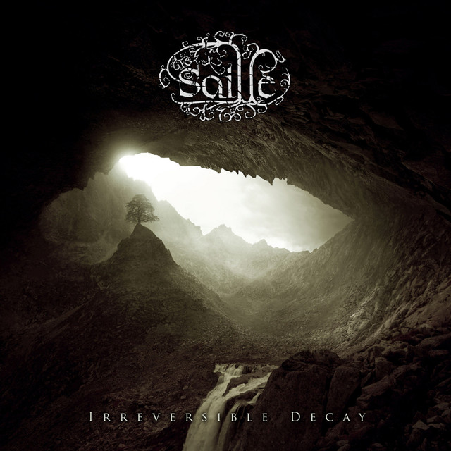 Irreversible Decay cover