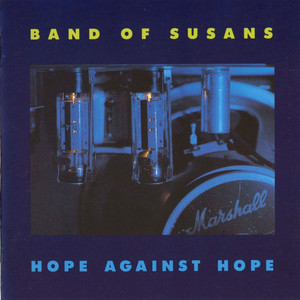 Hope Against Hope cover